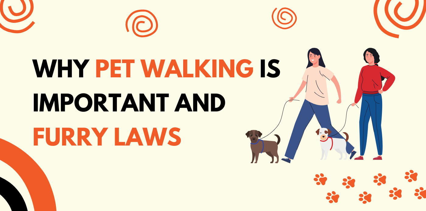 Why Pet Walking is Important